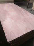 Sell_ Commercial plywood for interior use glue MR Okoume